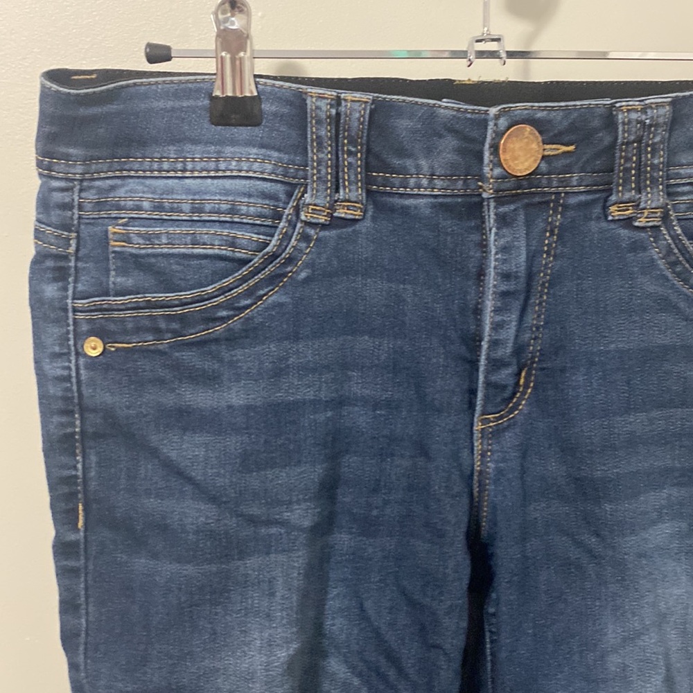 Democracy Blue Skinny Jeans with Stretchy Comfort - Picture 2 of 6